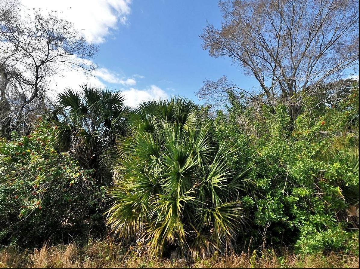 Details for Grenard Circle, NORTH PORT, FL 34288