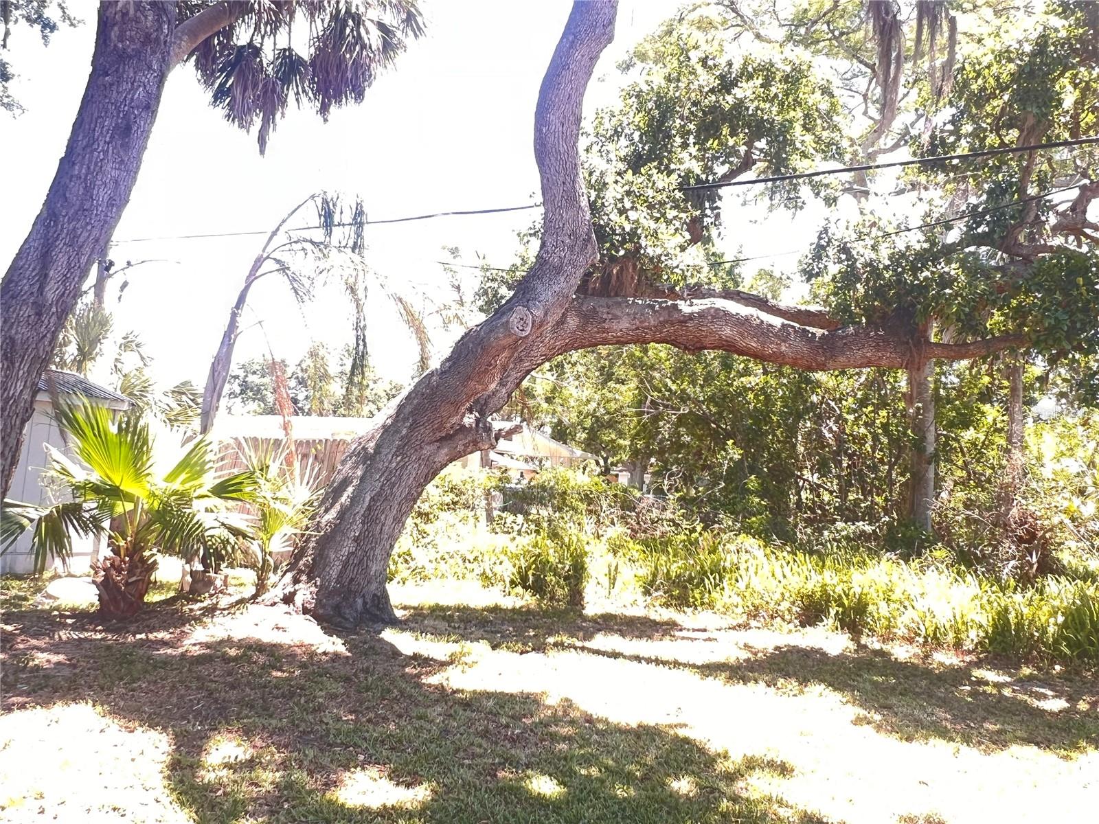 Image 3 of 29 For 407 Bahama Road