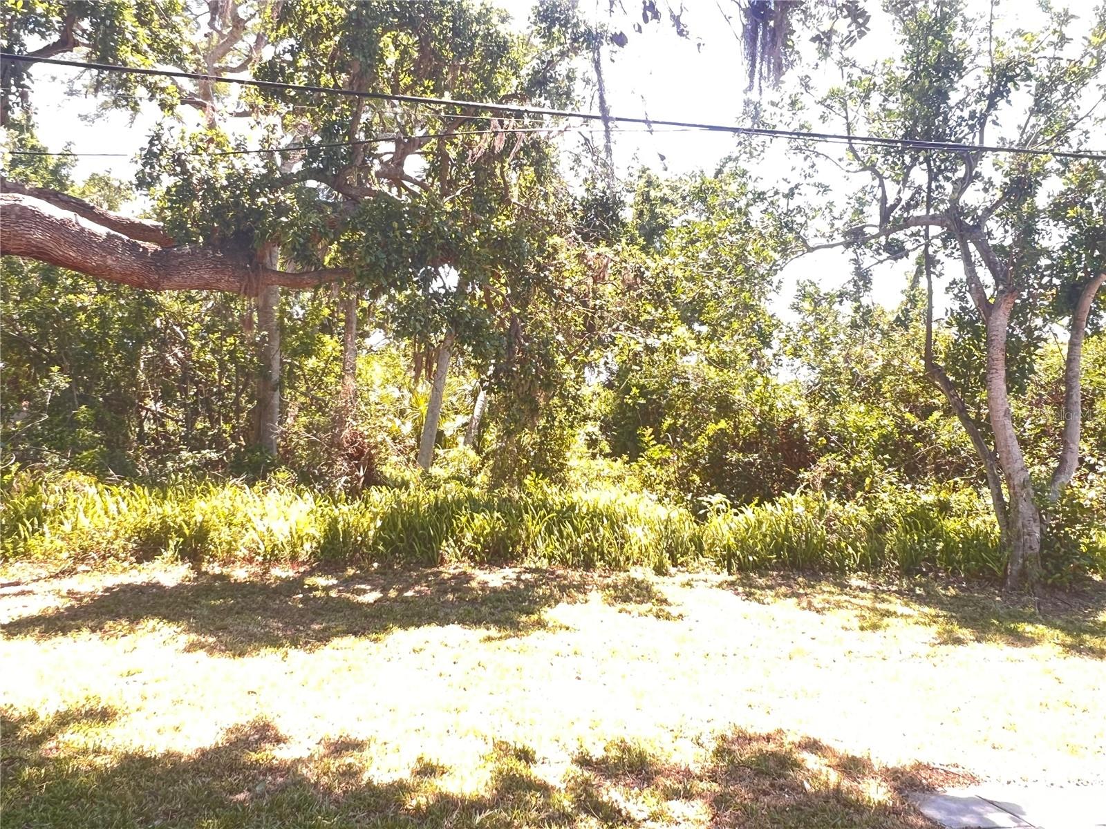 Image 5 of 29 For 407 Bahama Road