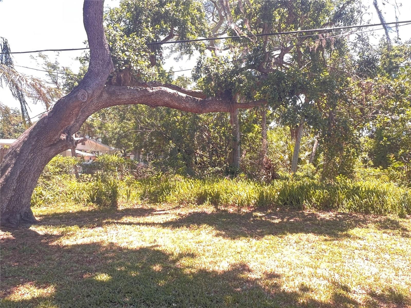 Image 6 of 29 For 407 Bahama Road