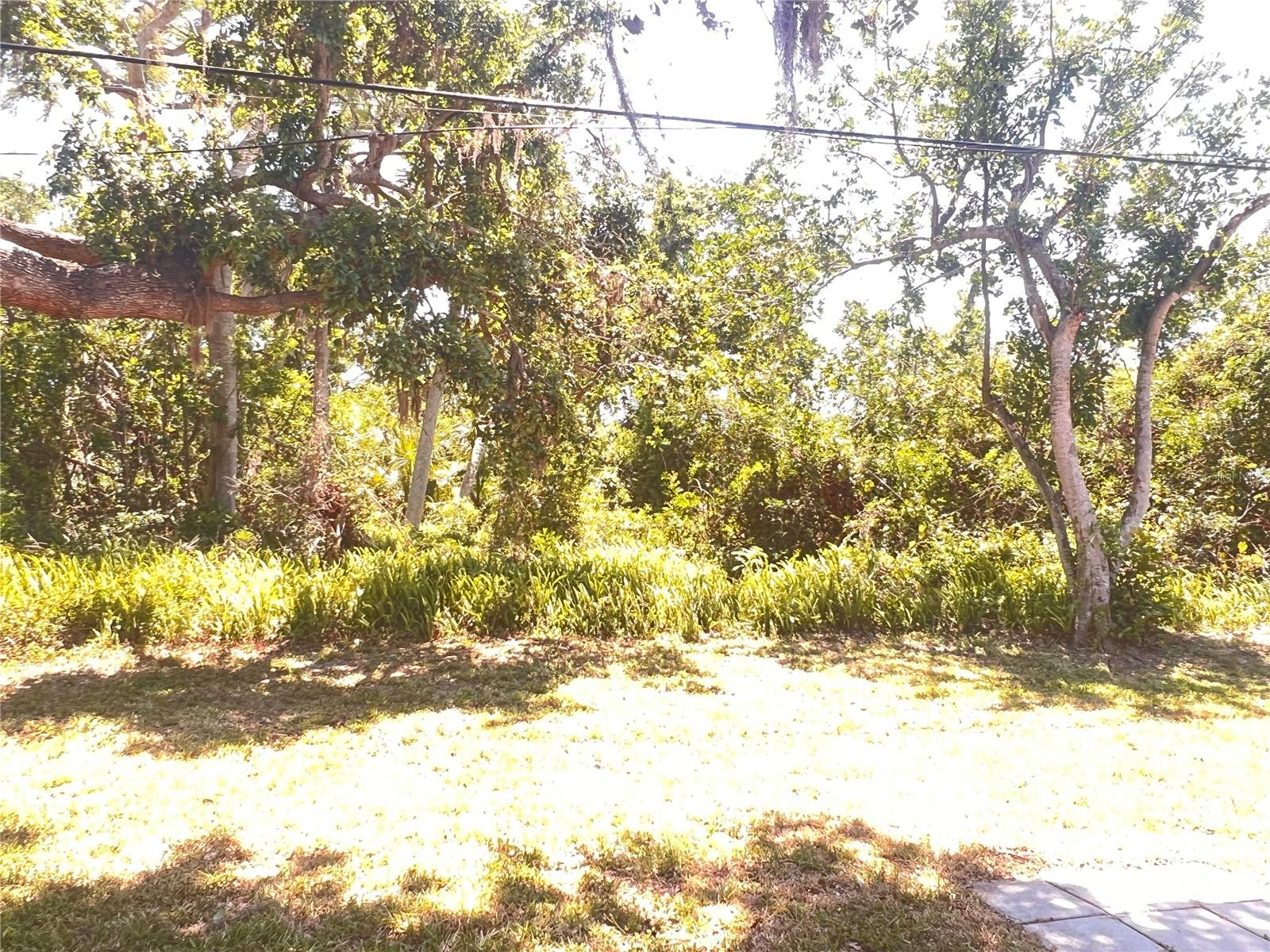 Image 7 of 29 For 407 Bahama Road