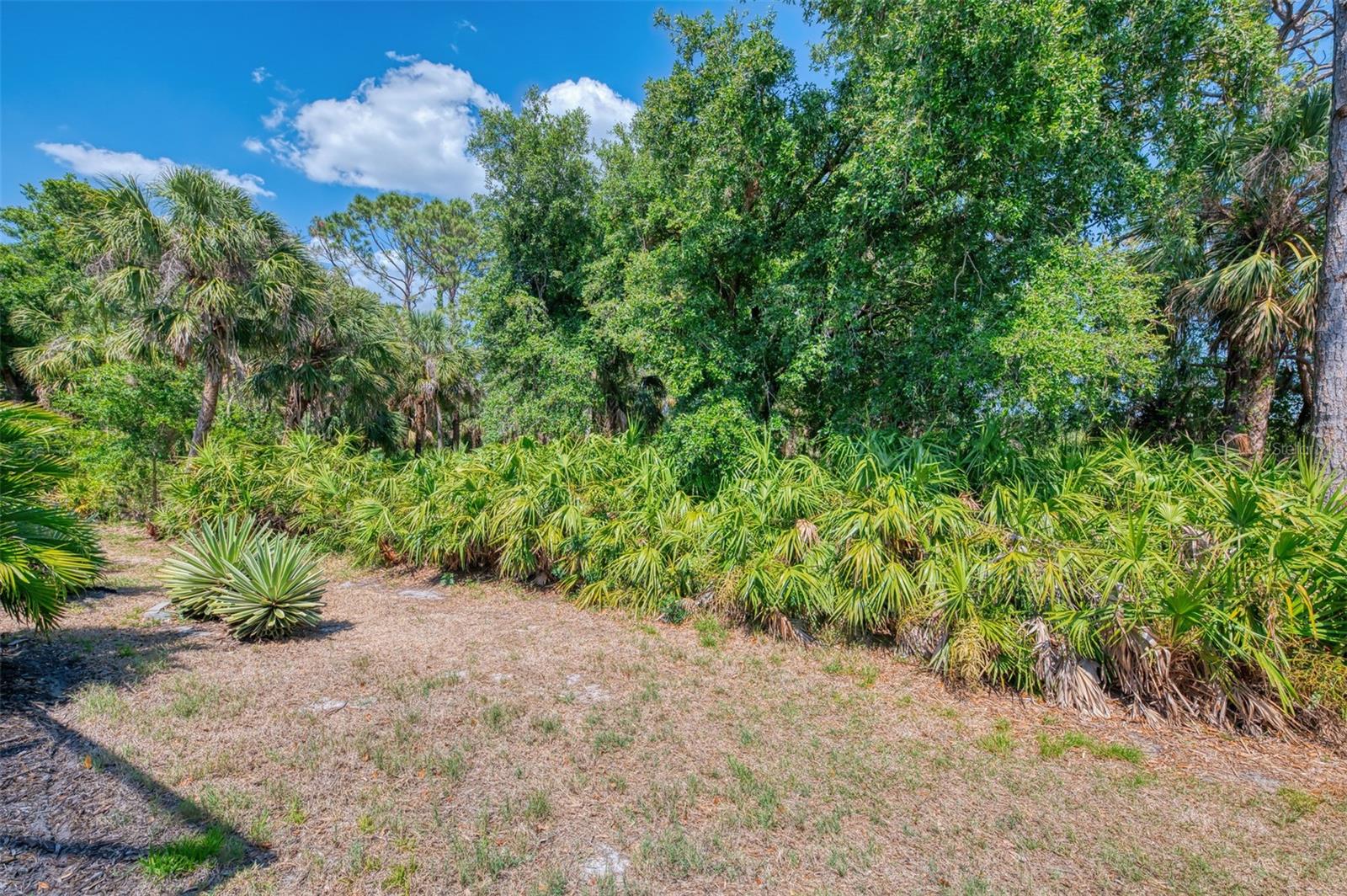 Image 44 of 75 For 11186 Batello Drive