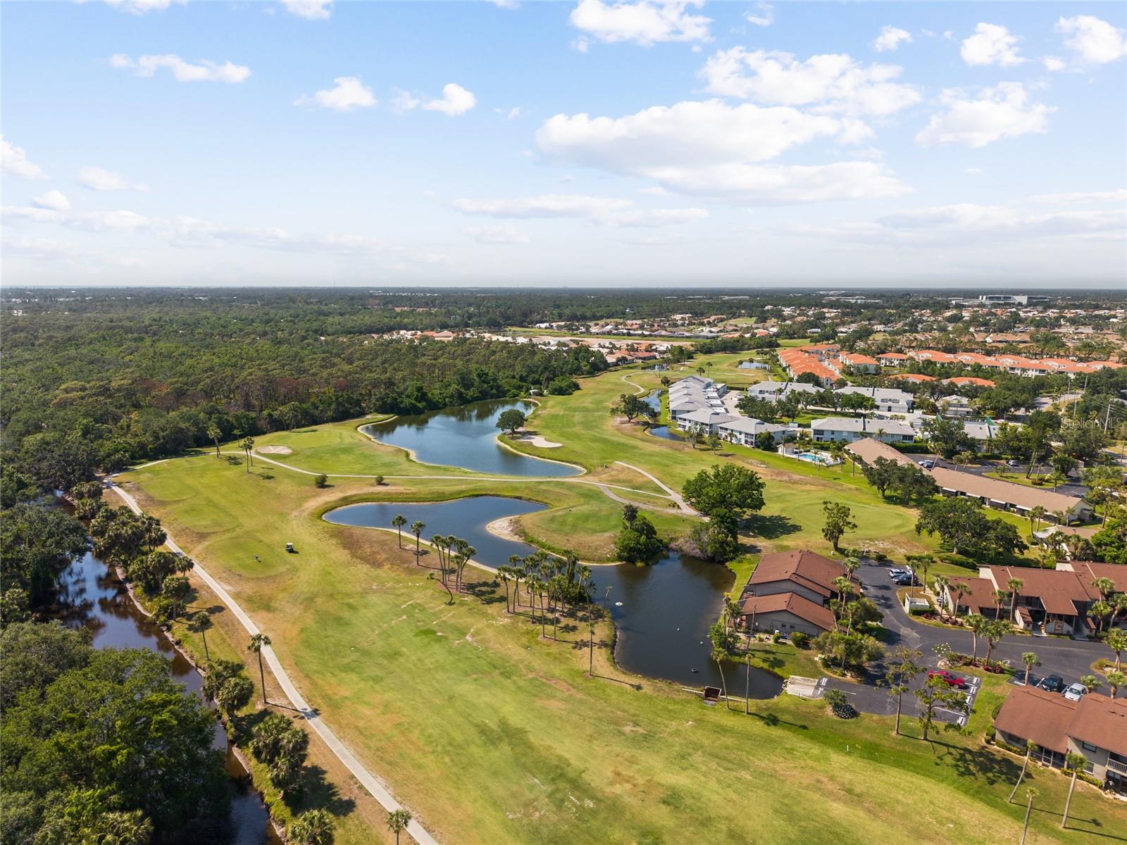 Image 34 of 66 For 1025 Capri Isles Boulevard 18