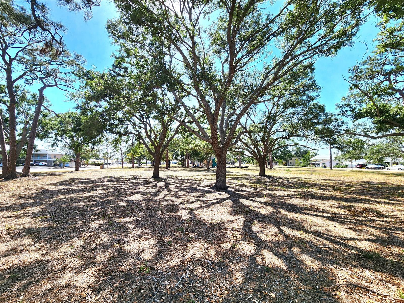 Image 17 of 24 For 525 Manatee Court 13