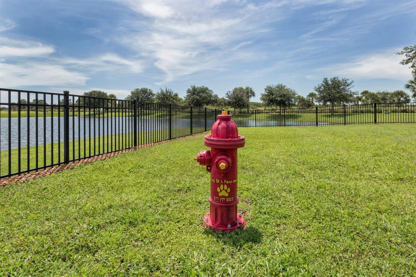 Image 67 of 74 For 10618 Corkwood Court