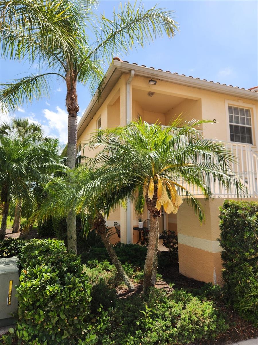 Image 2 of 61 For 4213 Vicenza Drive A2