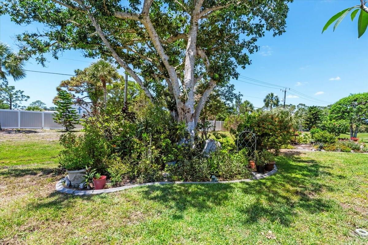 Image 23 of 32 For 657 Foxwood Boulevard