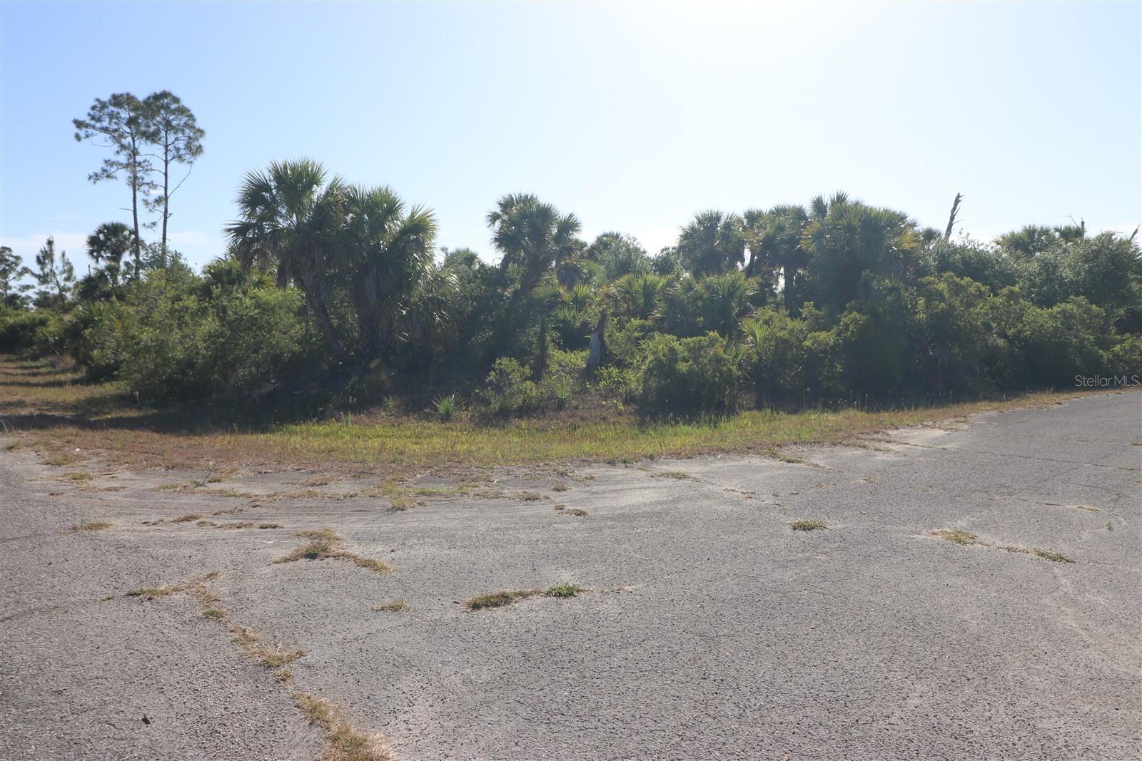 Image 3 of 7 For Chile Street