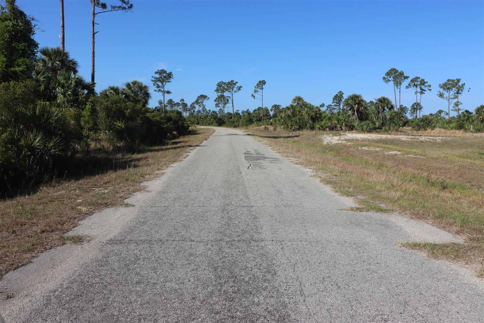 Image 4 of 7 For Chile Street