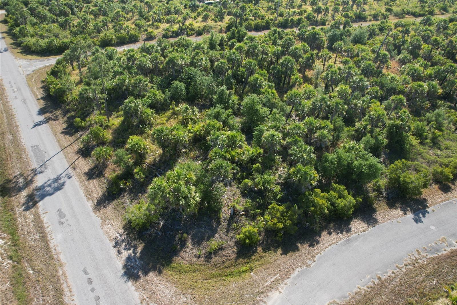 Image 7 of 7 For Chile Street