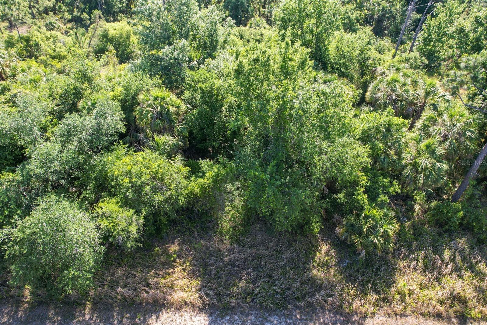 Details for Hamerton Road, NORTH PORT, FL 34288