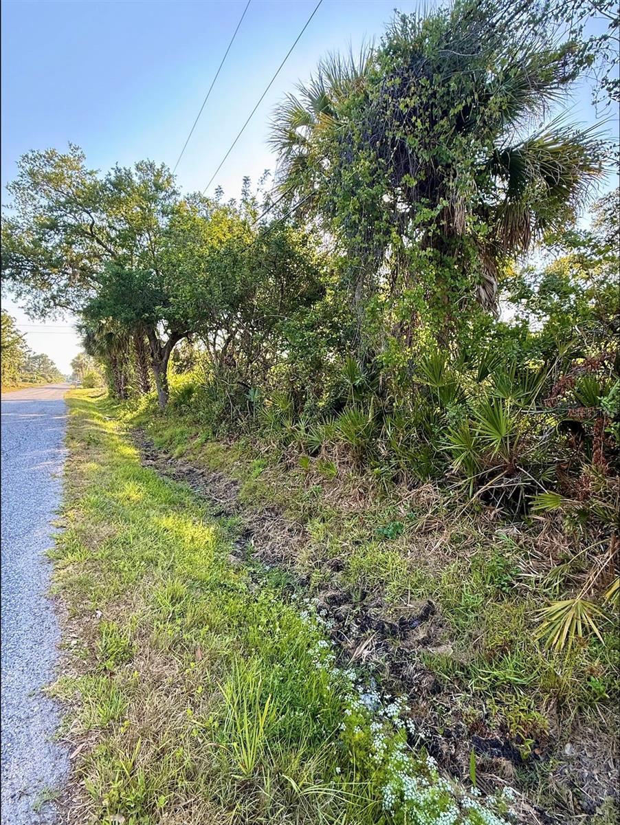 Image 4 of 9 For De Miranda Avenue