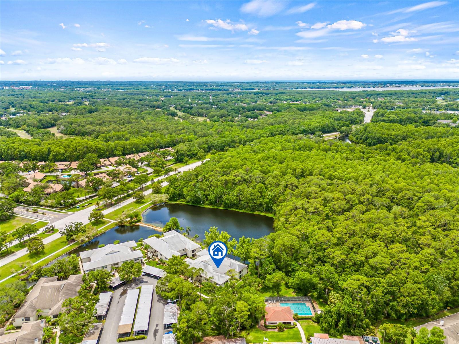 Details for 3382 Mermoor Drive 3201, PALM HARBOR, FL 34685