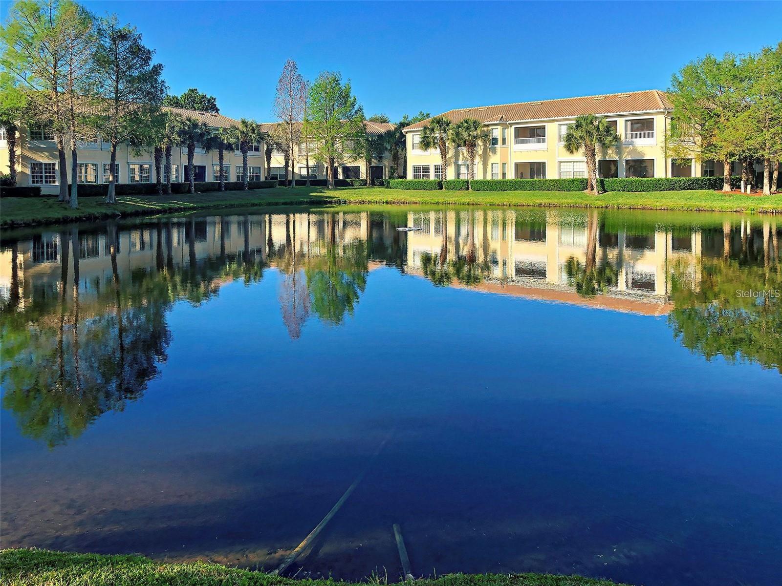 Image 44 of 47 For 212 Triano Circle 212