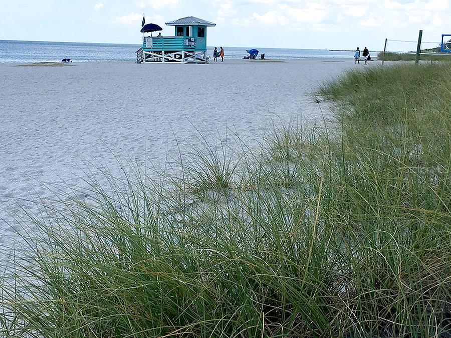 Image 59 of 65 For 10209 Fiddlewood Drive