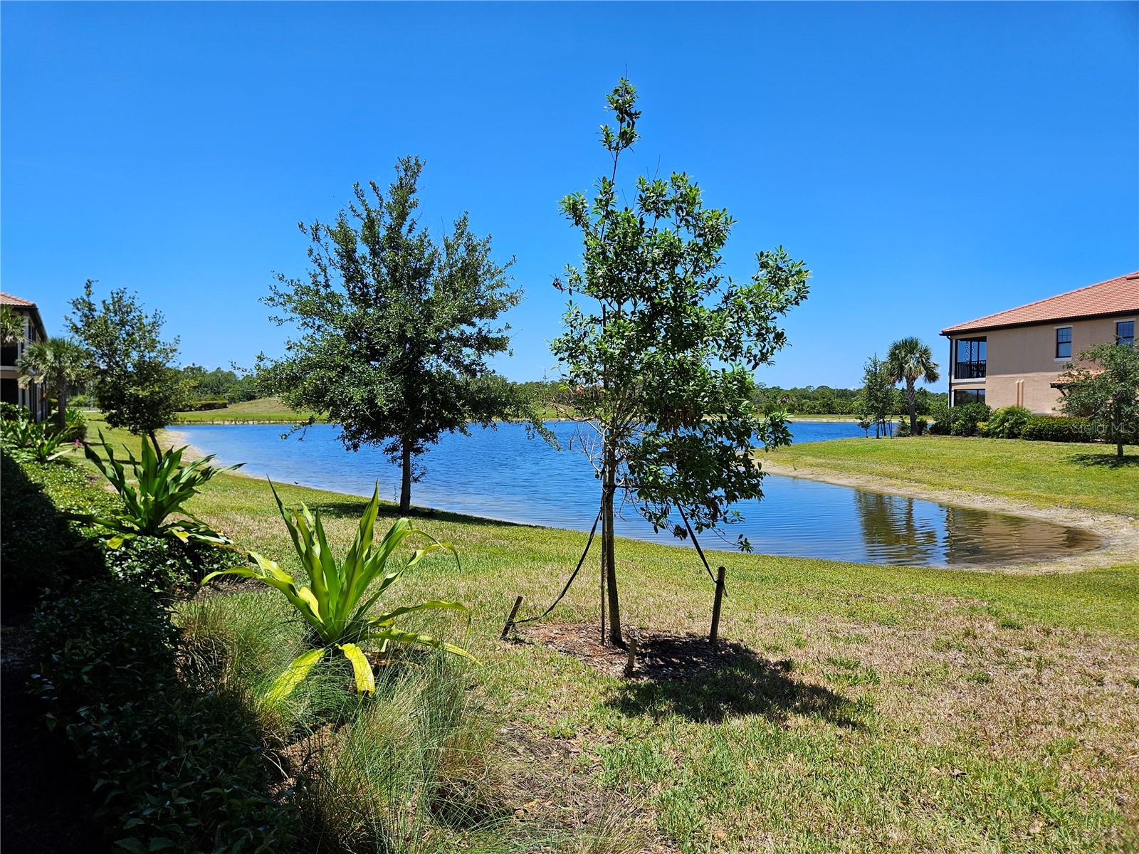 Image 24 of 54 For 10042 Crooked Creek Drive 103
