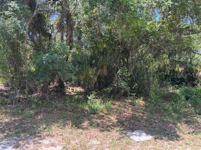 Details for 18431 Fremont Avenue, PORT CHARLOTTE, FL 33954