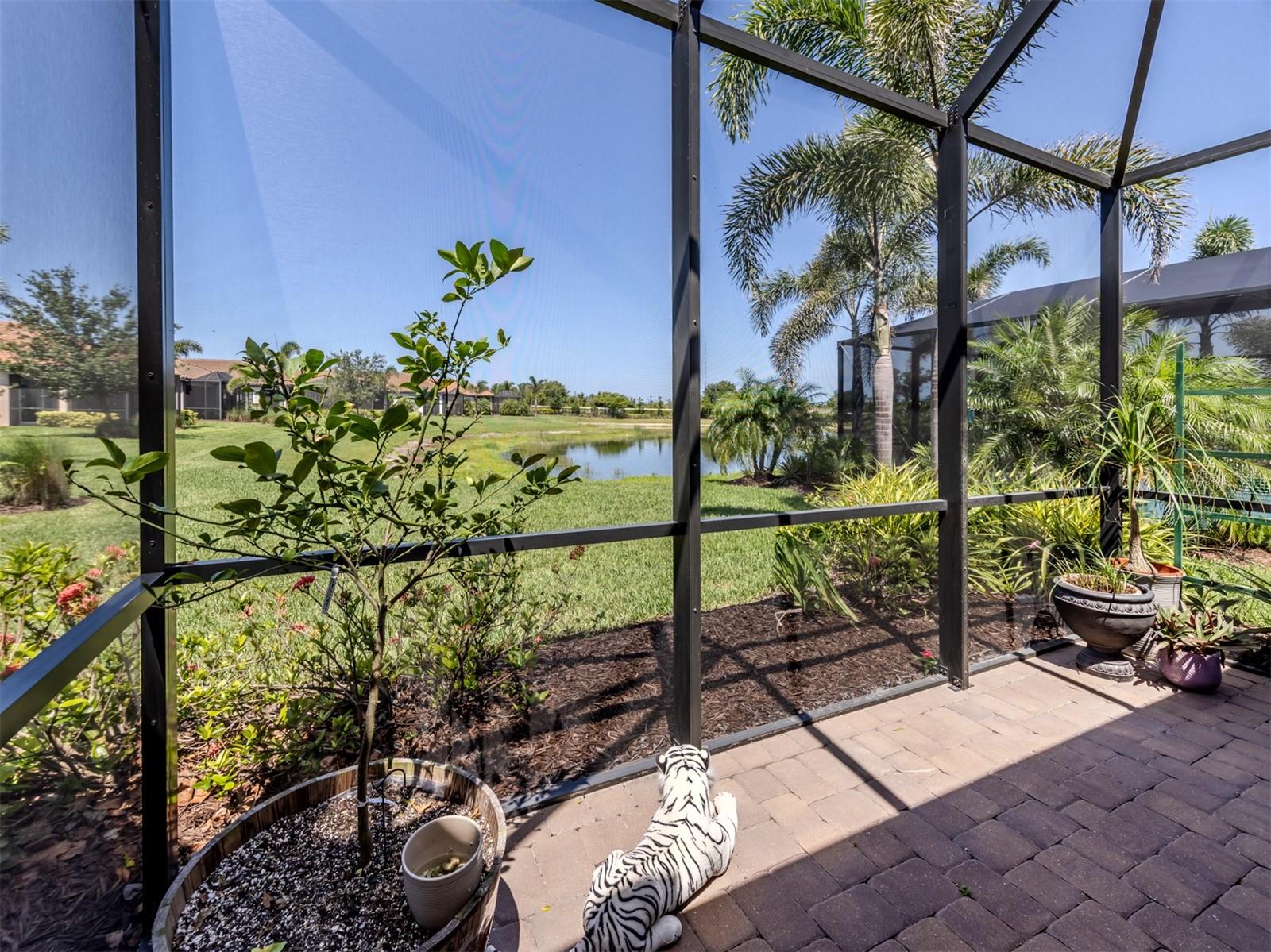Image 33 of 92 For 5853 Semolino Street