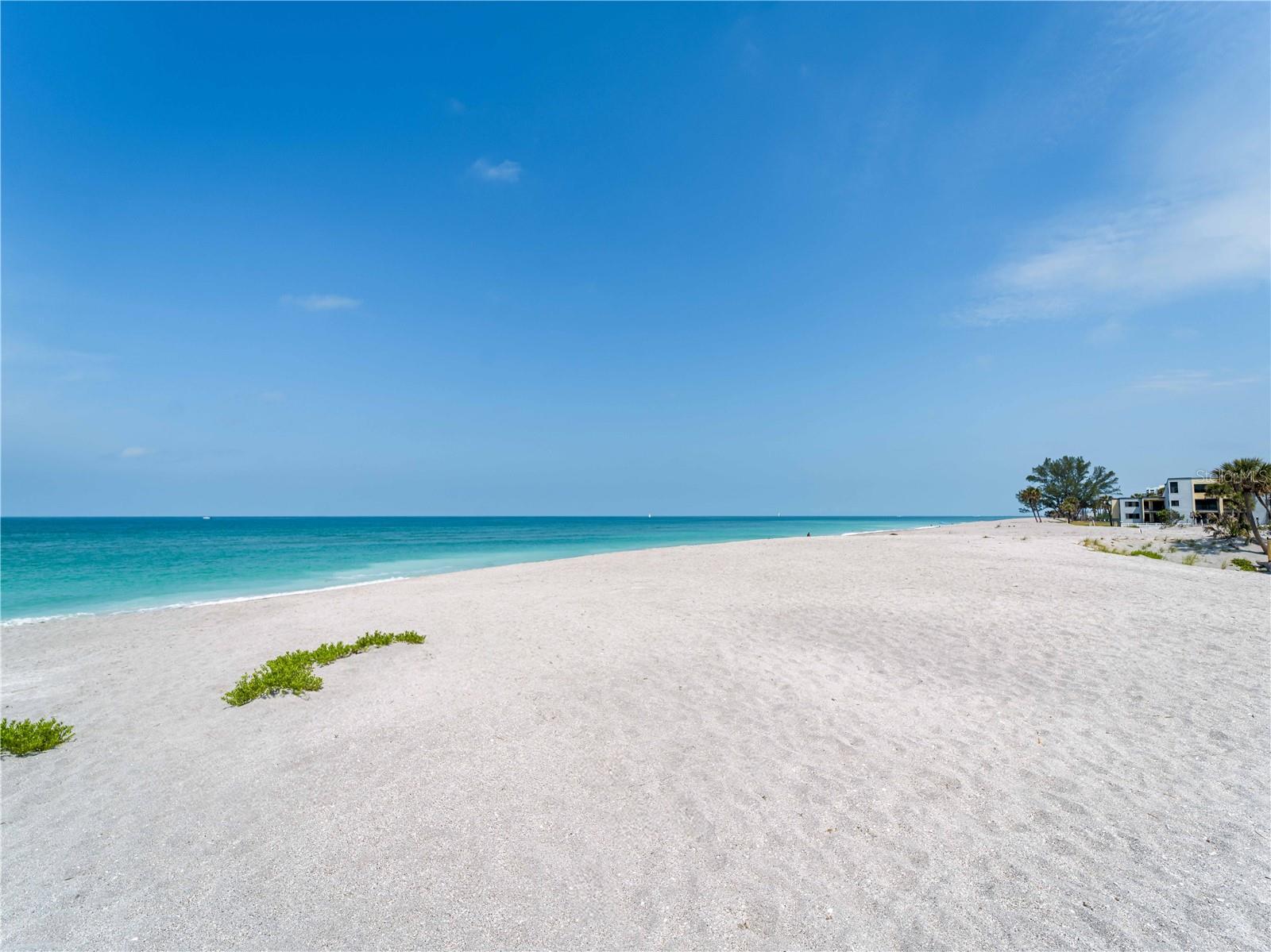Image 7 of 55 For 408 Golden Beach Boulevard
