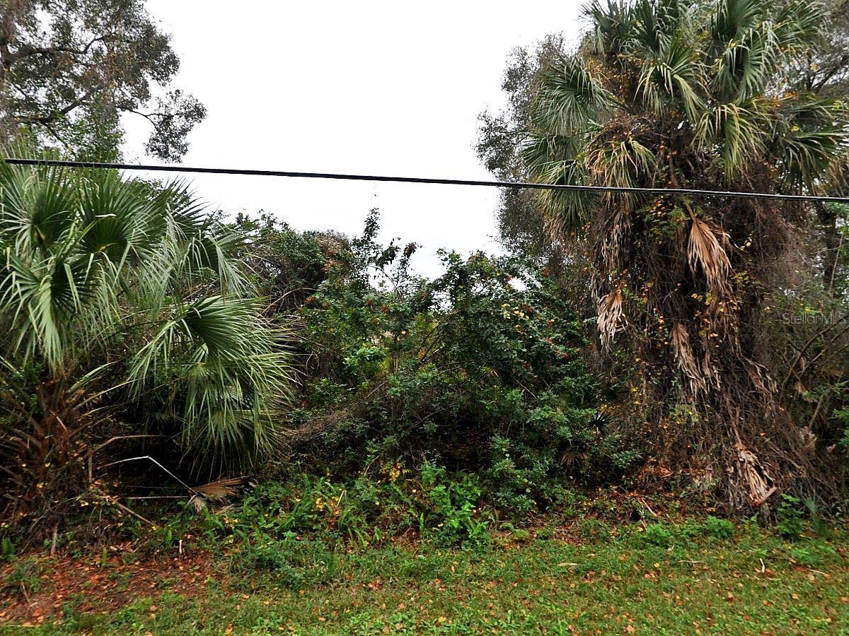 Image 3 of 3 For  Wecoma Ave  