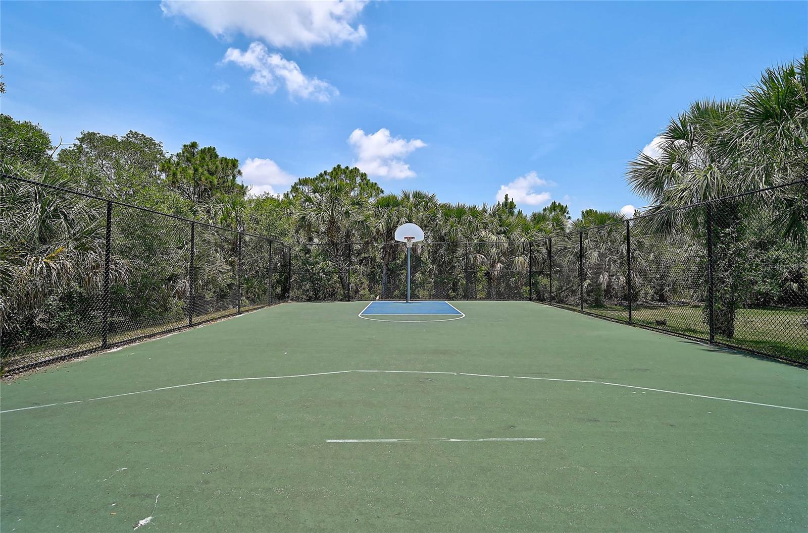 Image 41 of 71 For 12689 Sagewood Drive