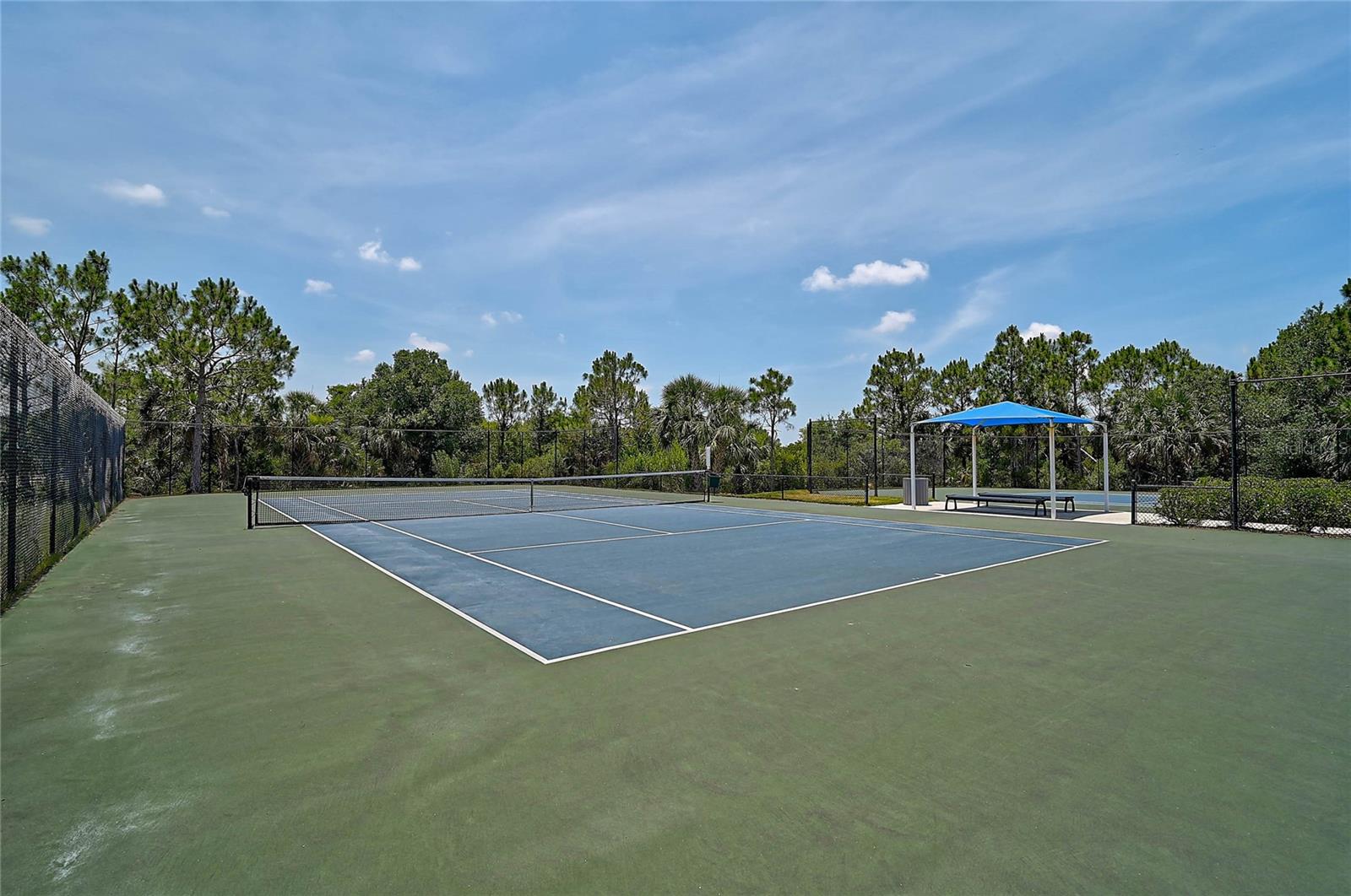 Image 58 of 71 For 12689 Sagewood Drive