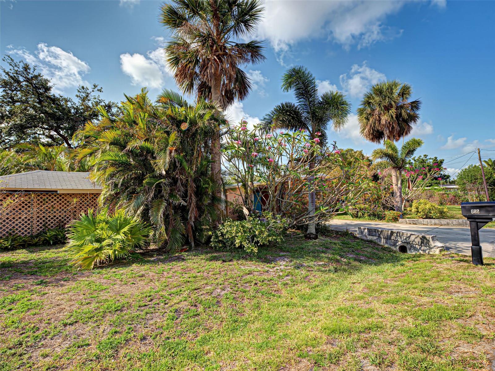 Image 10 of 50 For 602 Bonito Ave