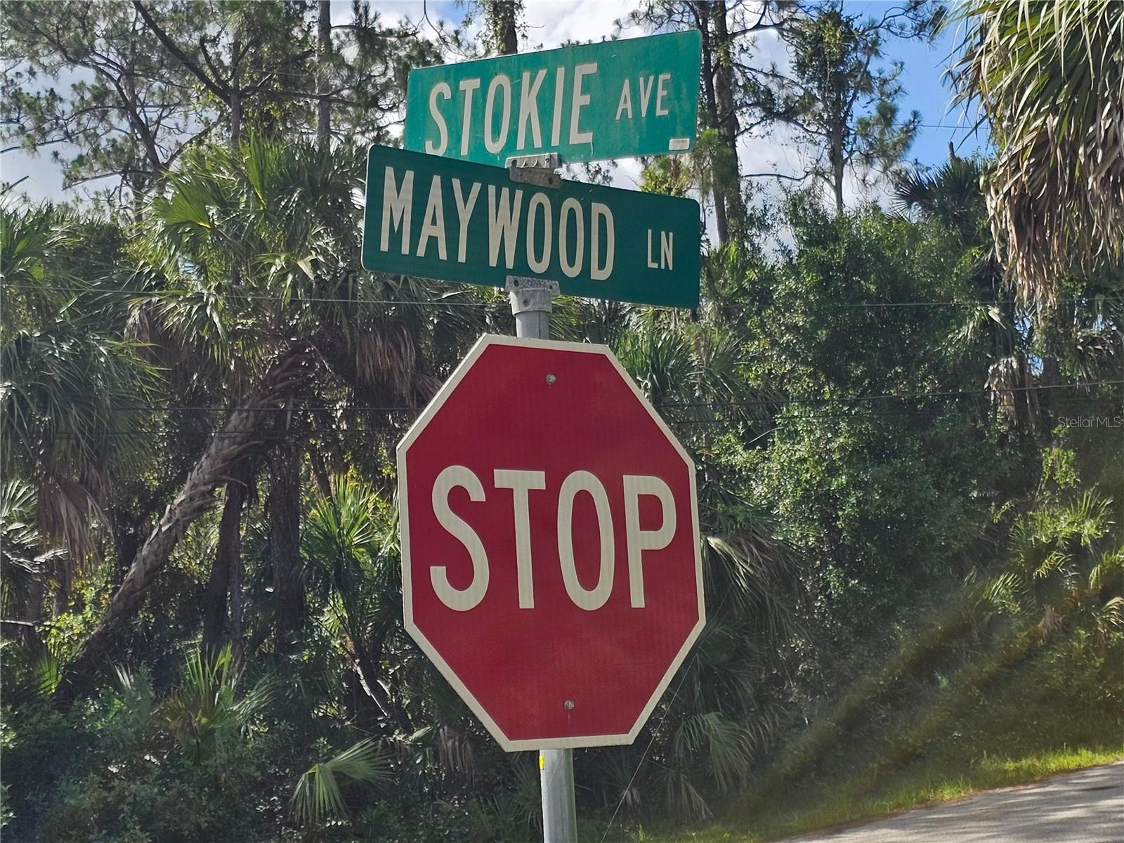 Image 4 of 6 For Stokie Avenue