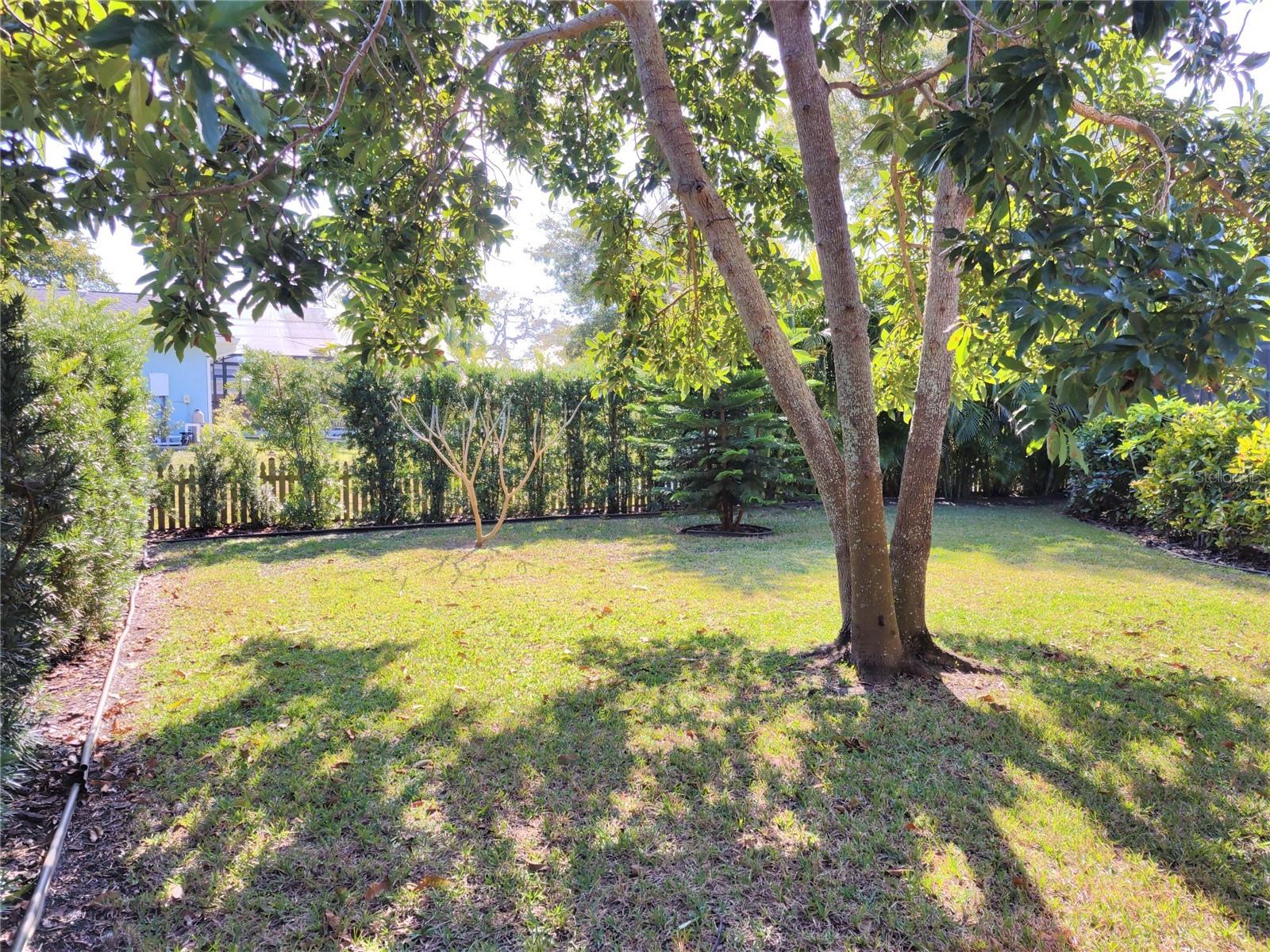 Image 39 of 67 For 805 Laguna Drive