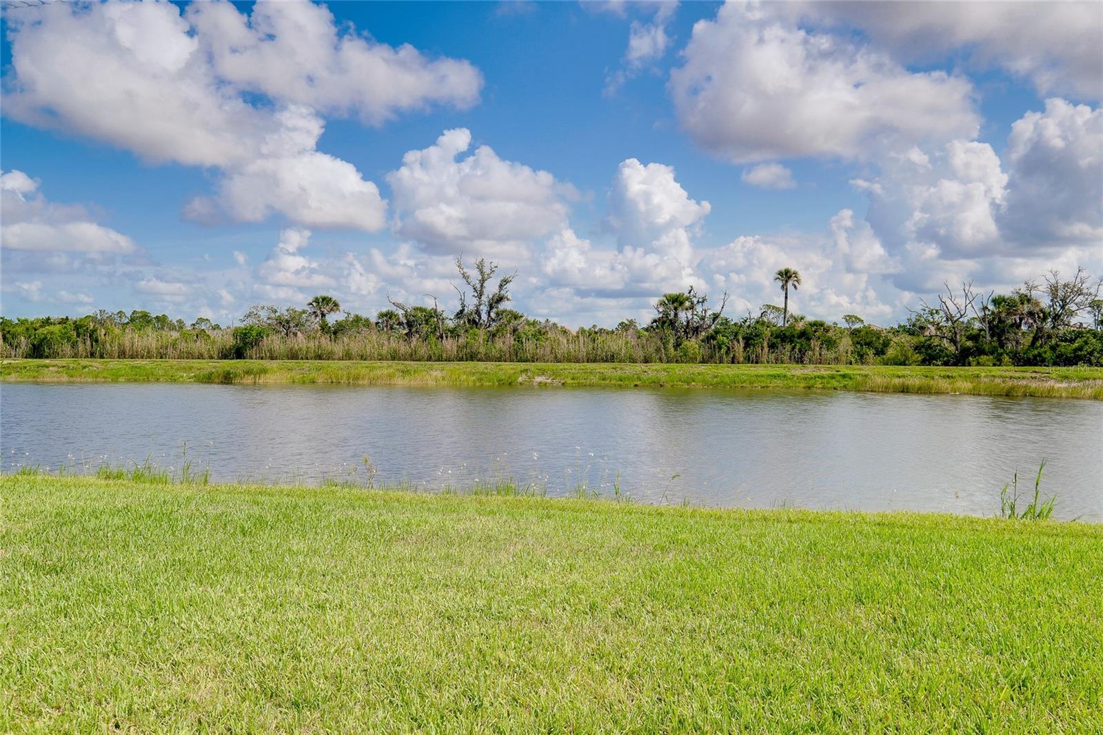 Image 63 of 97 For 13634 Vancanza Drive