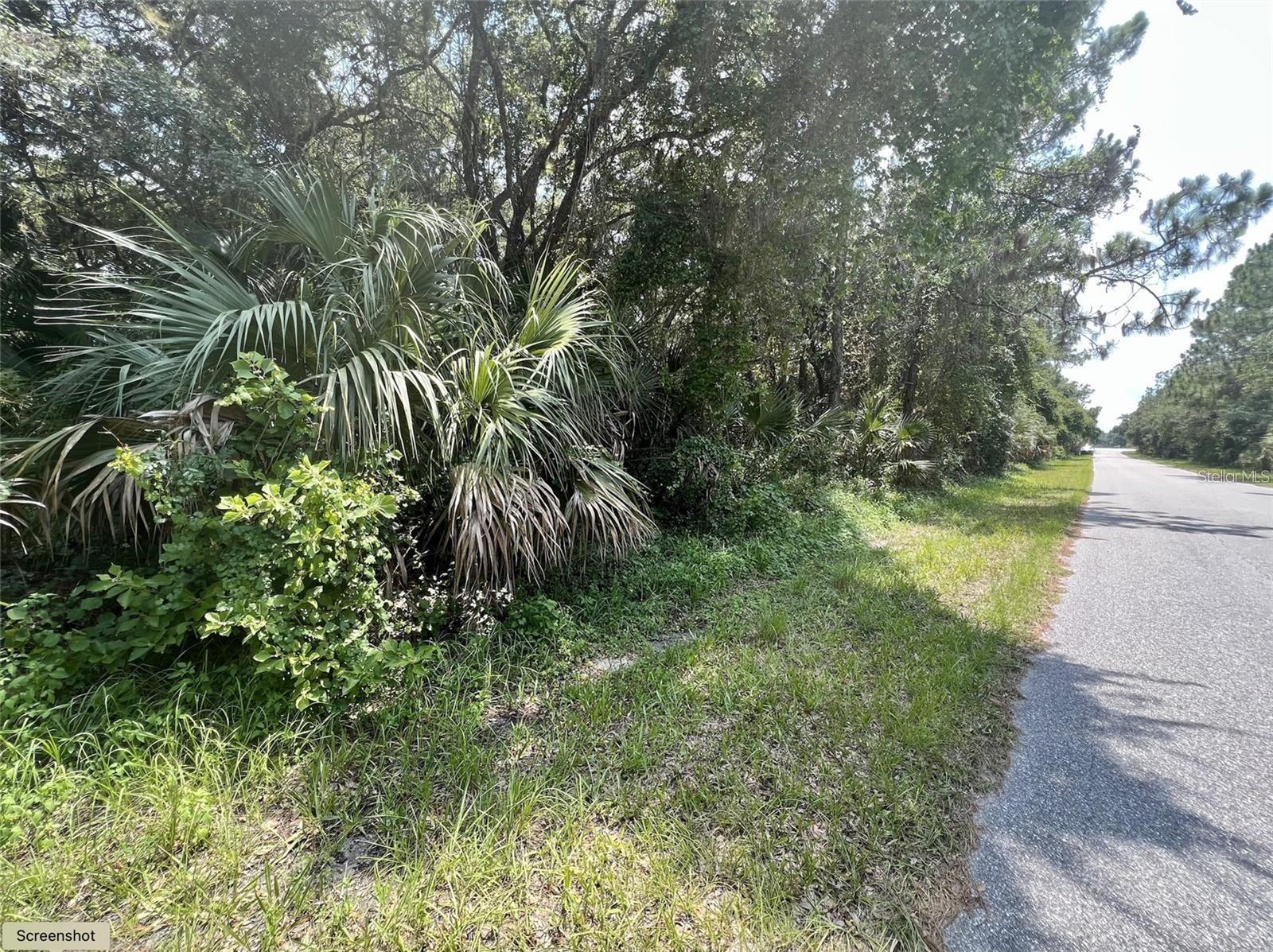 Image 2 of 11 For Kalish Avenue