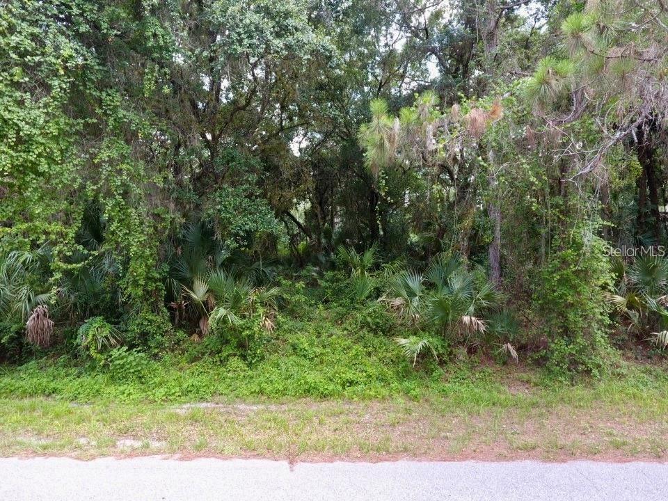 Image 4 of 11 For Kalish Avenue