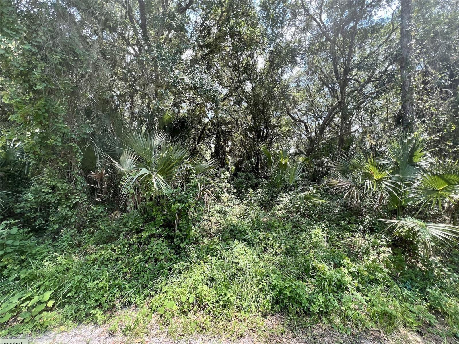 Image 6 of 11 For Kalish Avenue