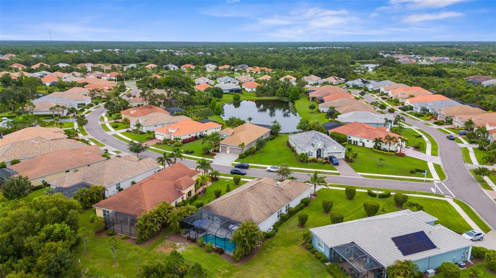 Image 45 of 90 For 21291 Sandal Foot Drive