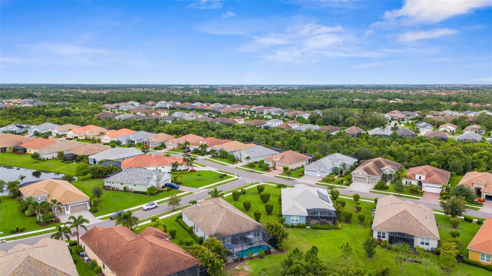 Image 47 of 90 For 21291 Sandal Foot Drive