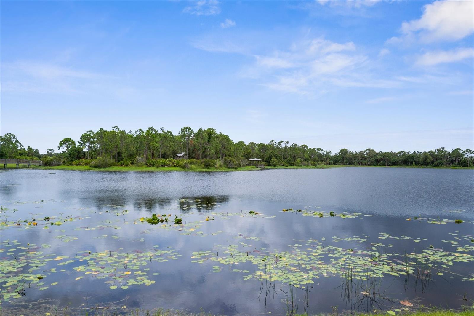 Image 76 of 90 For 21291 Sandal Foot Drive