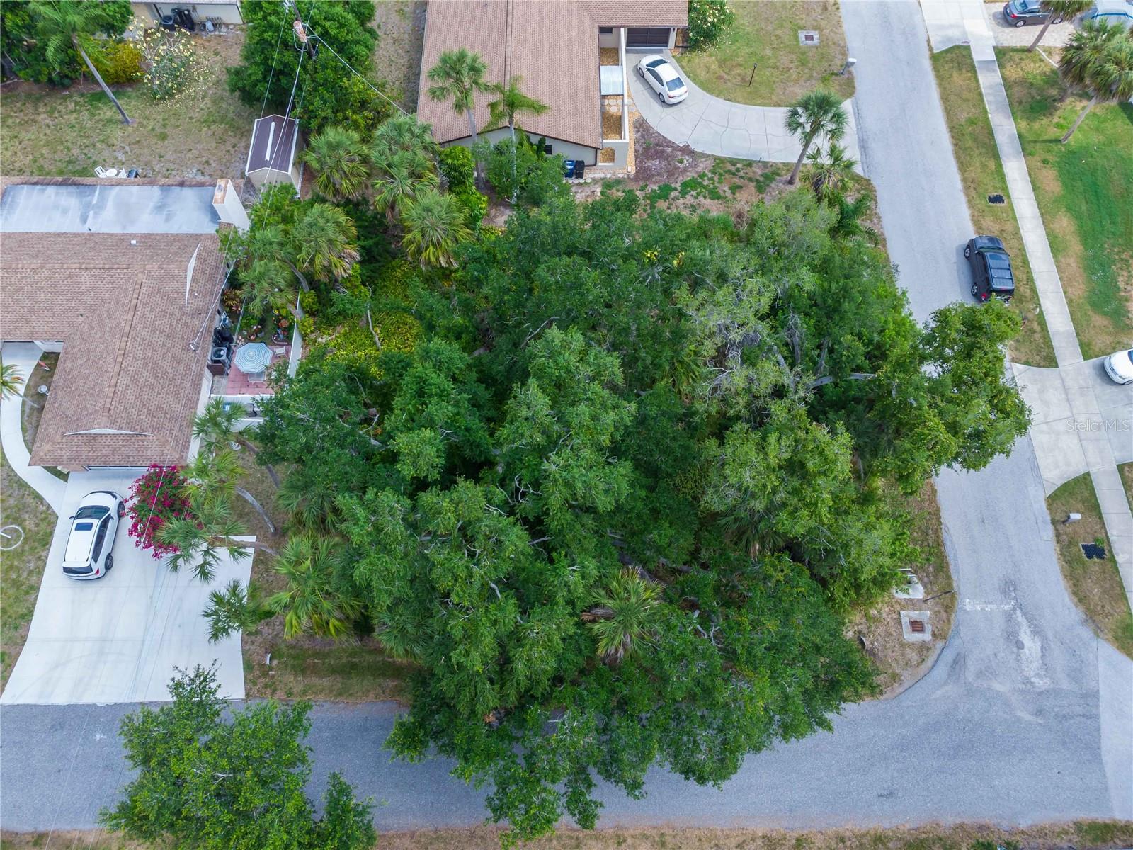 Image 6 of 17 For Lots 17108 & 17109 Valencia Road