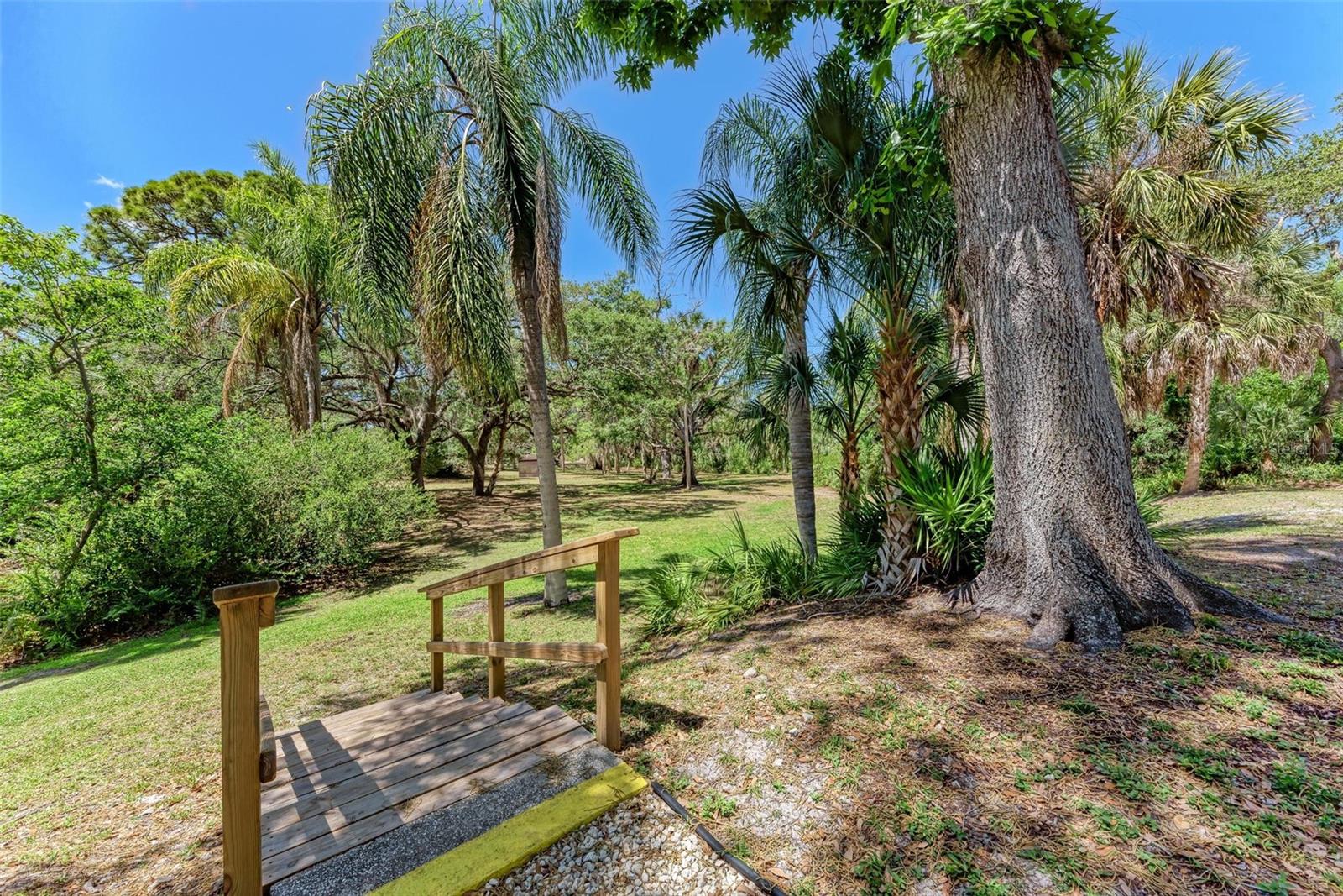 Image 34 of 36 For 2718 Orchid Oaks Drive C-202