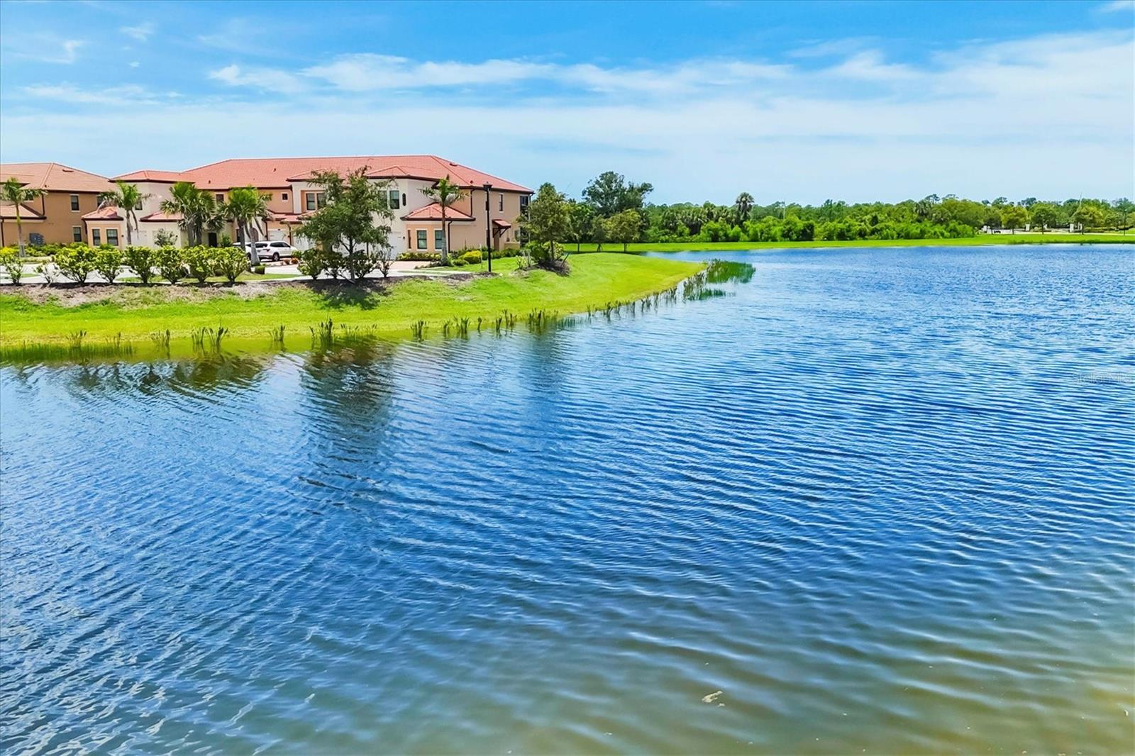 Image 22 of 100 For 10061 Cozy Grove Drive