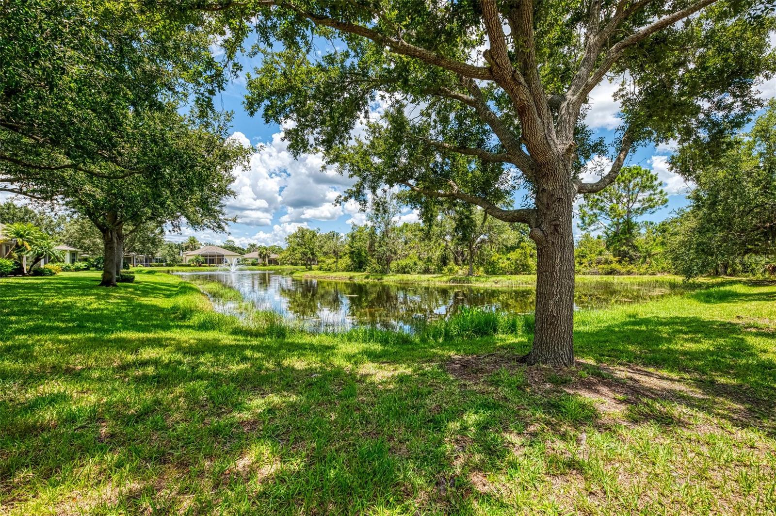 Image 45 of 78 For 9361 Carnaby Drive