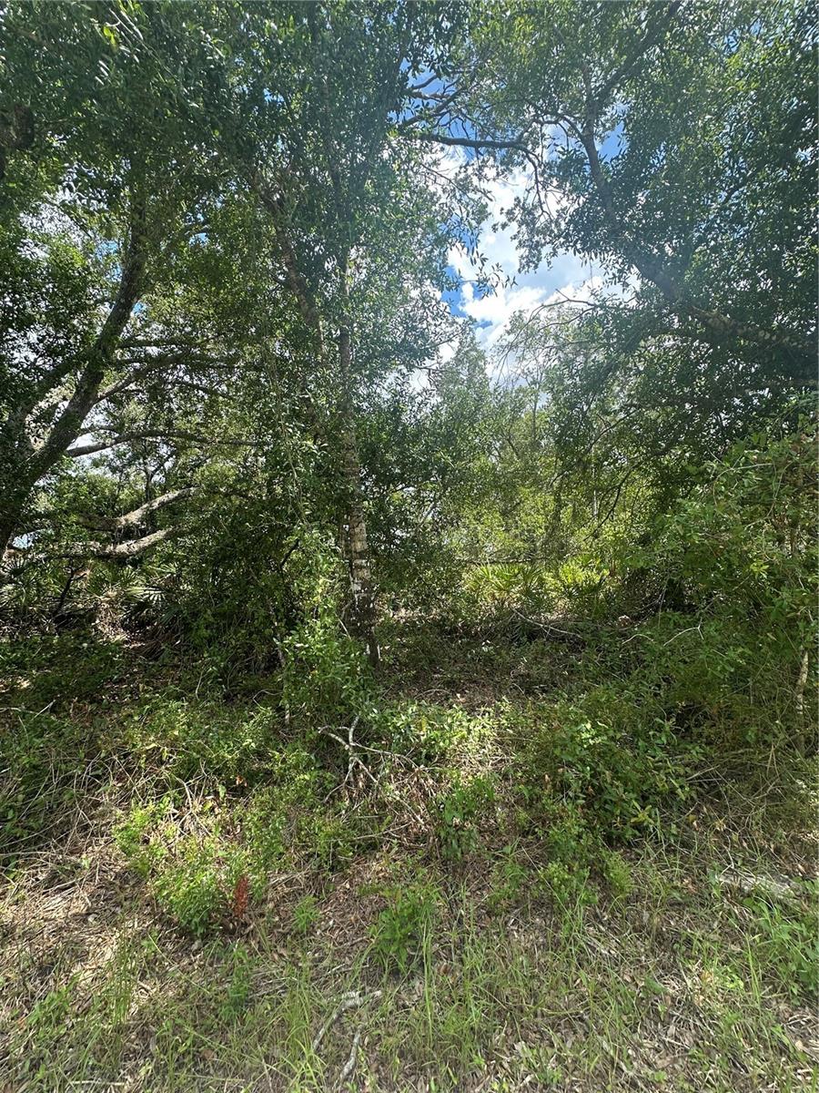 Details for Henrietta Avenue, NORTH PORT, FL 34291