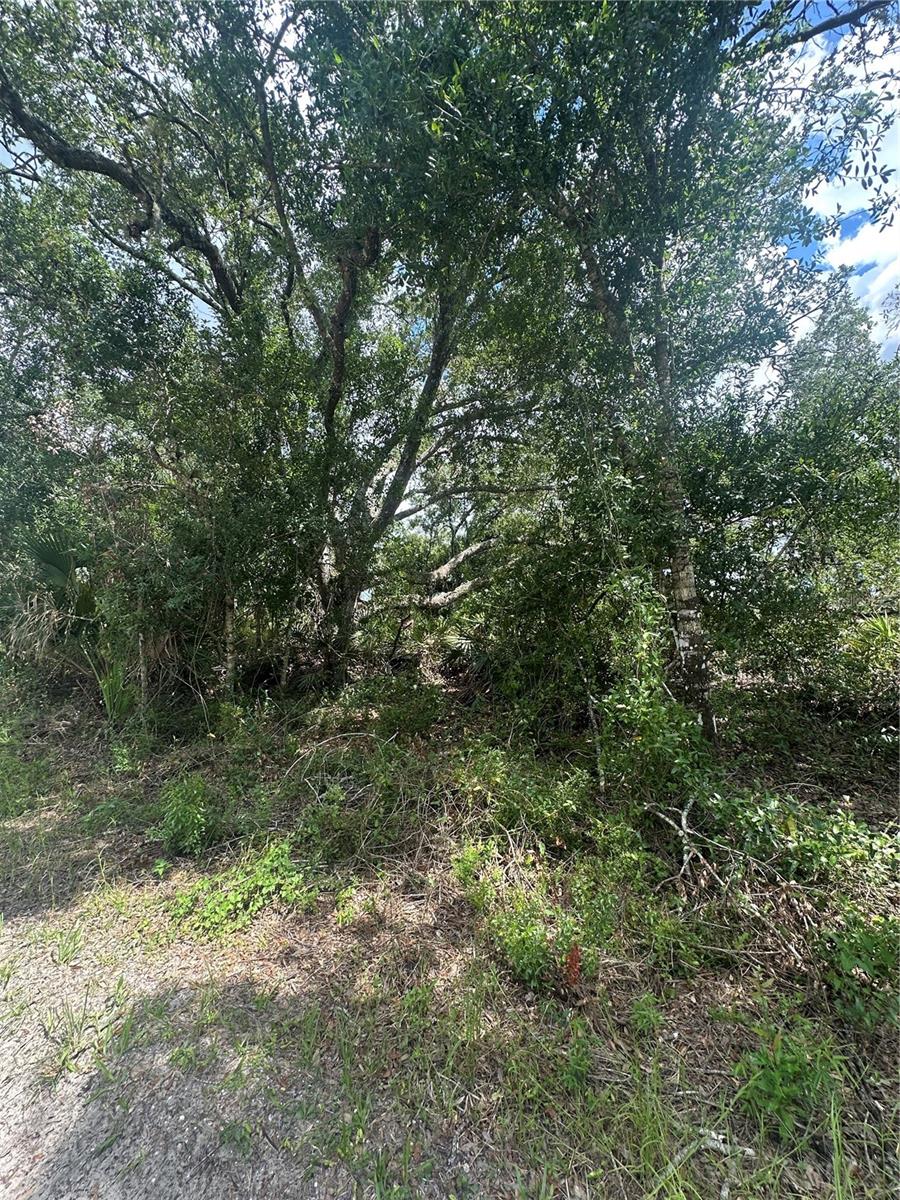 Image 5 of 6 For Henrietta Avenue