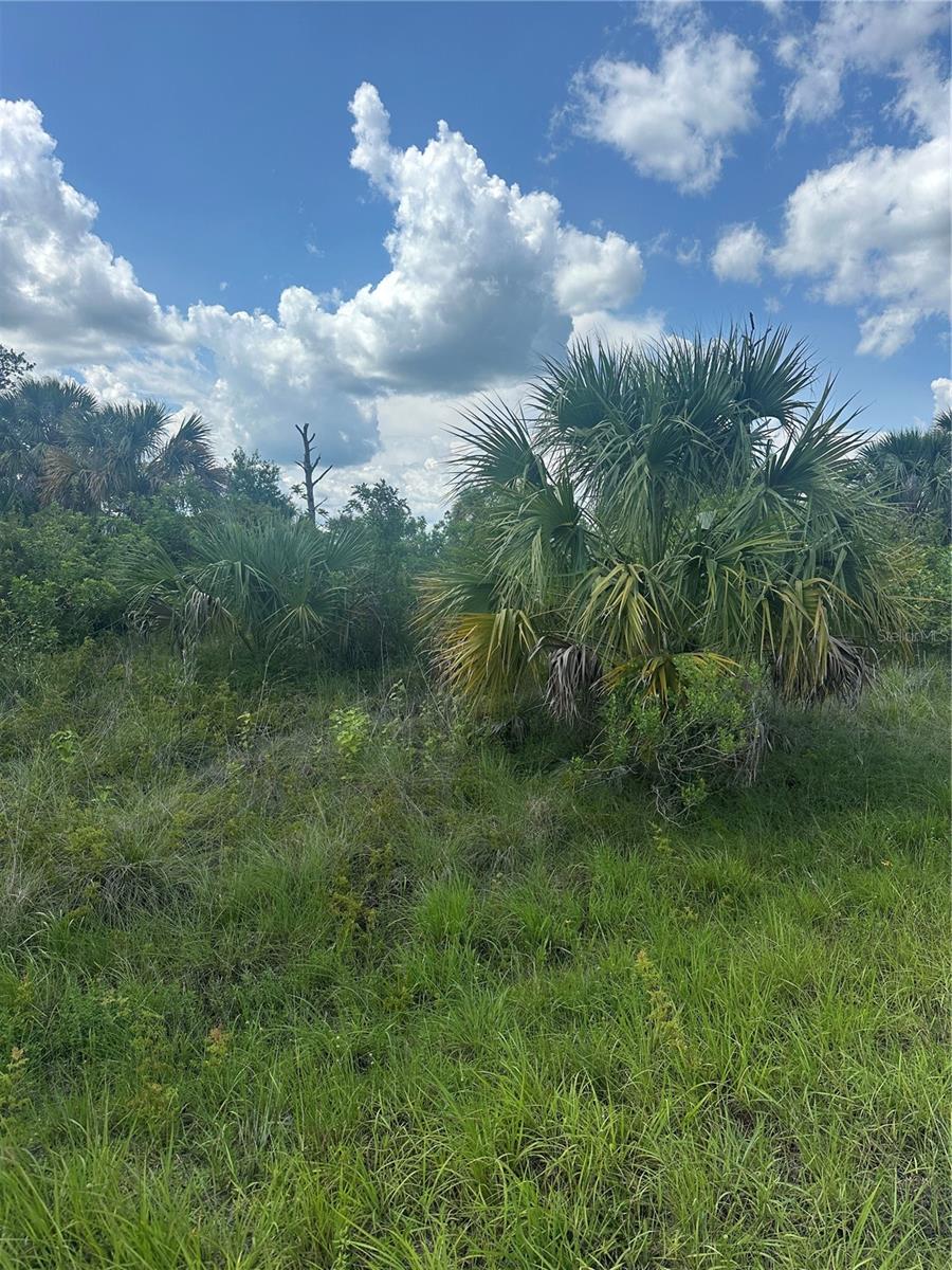Details for Fritz Avenue, NORTH PORT, FL 34288