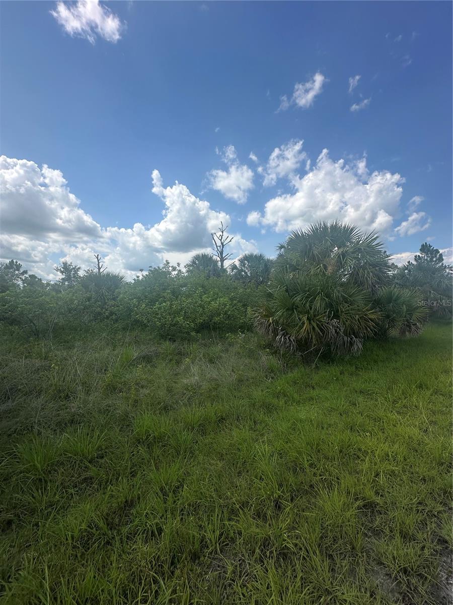 Image 4 of 7 For Fritz Avenue