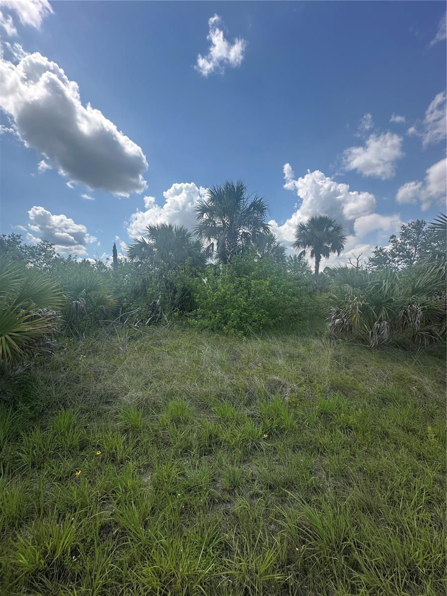 Image 7 of 7 For Fritz Avenue