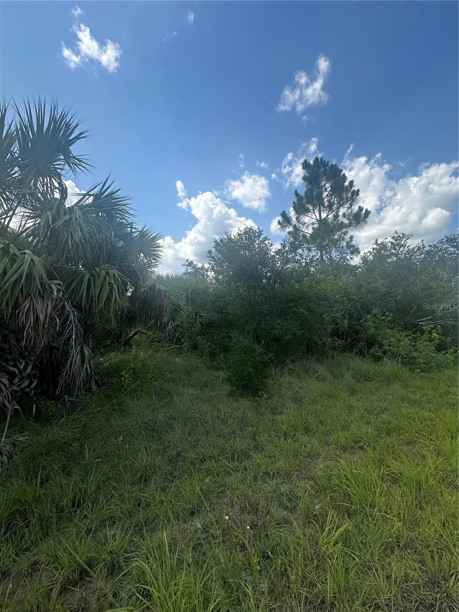 Image 6 of 8 For Fritz Avenue