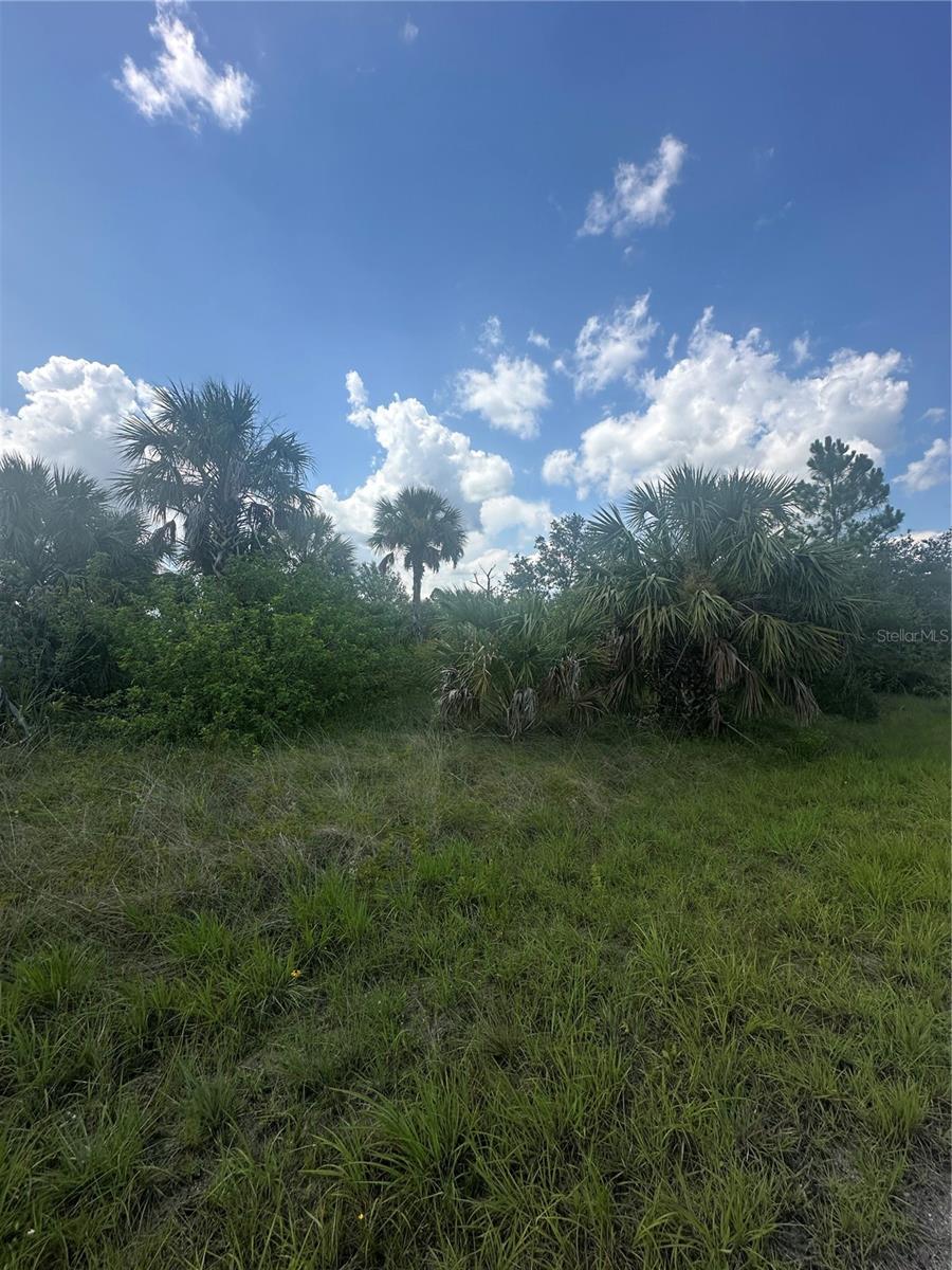Image 8 of 8 For Fritz Avenue