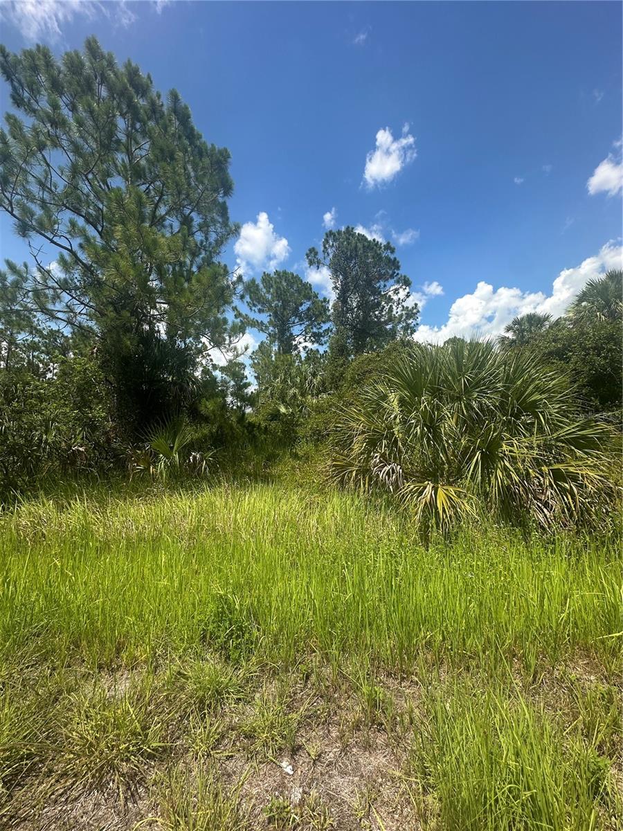 Image 4 of 7 For Hampshire Circle