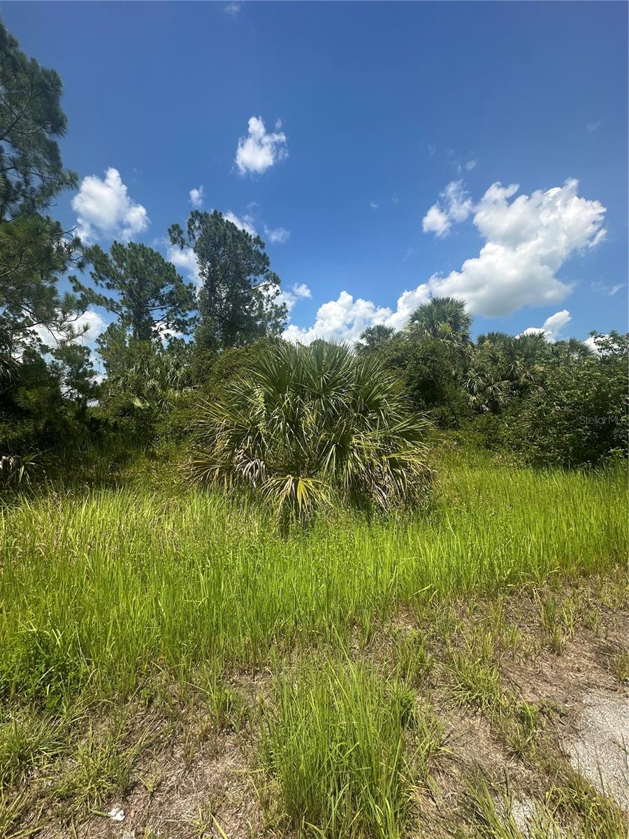 Image 5 of 7 For Hampshire Circle