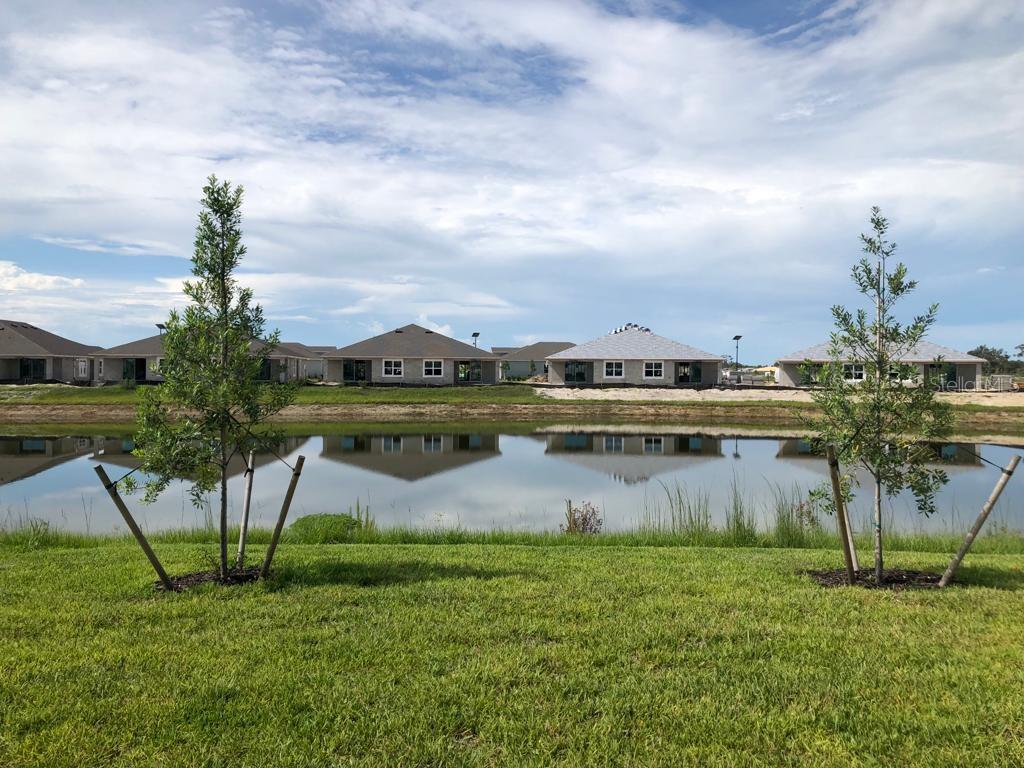 Image 21 of 24 For 16070 Bridle Ridge Street